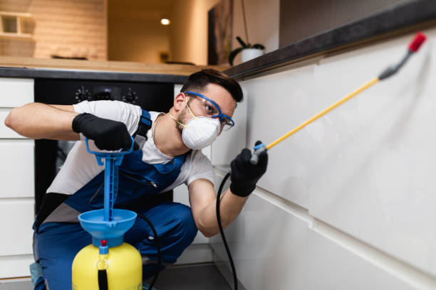 Trusted Wyandanch, NY Pest Control Experts