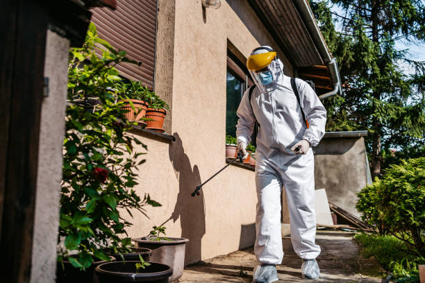 Best Exterminator Services  in Wyandanch, NY