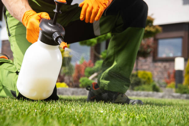 Best Pest Prevention Services  in Wyandanch, NY