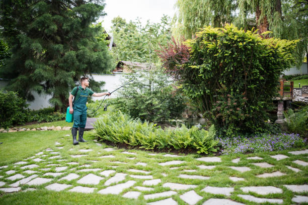 Best Best Pest Control Companies  in Wyandanch, NY