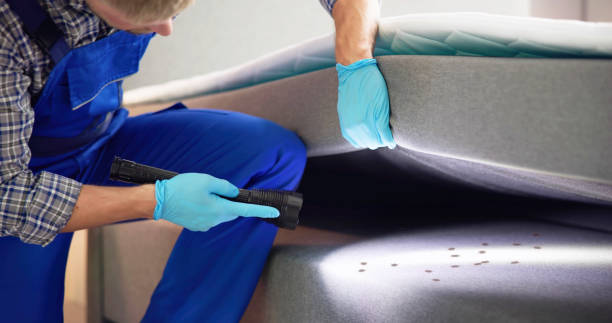 Best Pest Control Near Me  in Wyandanch, NY