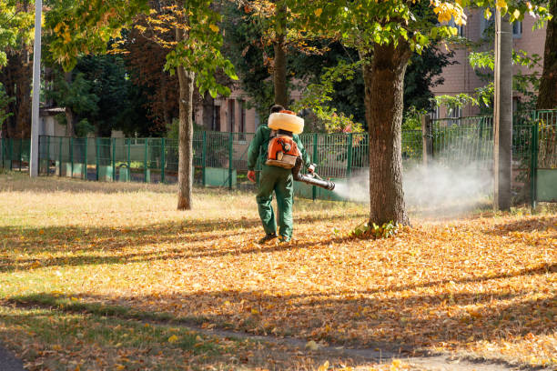 Best Wasp Removal Services  in Wyandanch, NY