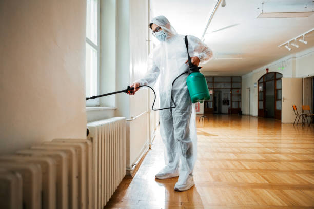 Best Flea Control Services  in Wyandanch, NY