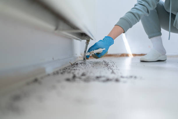 Best Affordable Pest Control Services  in Wyandanch, NY